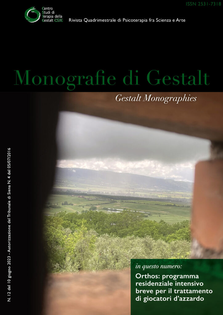 Copertina — Monografia sul gioco